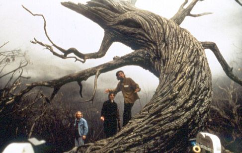 tim burton sleepy hollow tree